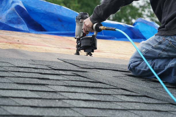 Asphalt Shingles Roofing in Marienville, PA